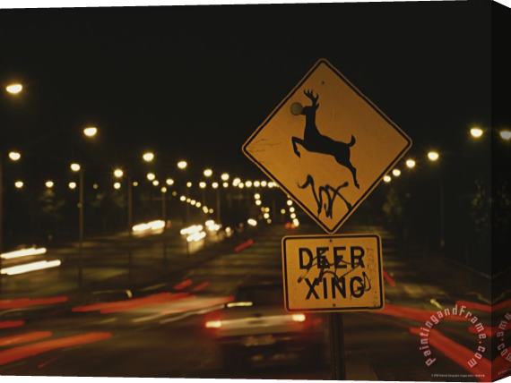 Raymond Gehman A Deer Crossing Sign in The Middle of Roosevelt Boulevard Stretched Canvas Painting / Canvas Art
