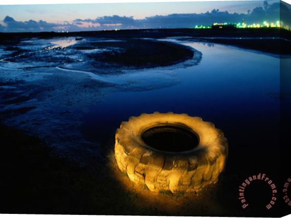 Raymond Gehman A Discarded Tire Glowing Like Neon in The Marsh Stretched Canvas Print / Canvas Art