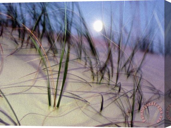 Raymond Gehman A View of a Full Moon Rising Above a Sand Dune Stretched Canvas Print / Canvas Art