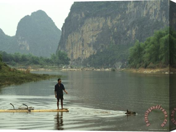 Raymond Gehman A Water Buffalo Pulls a Farmer on Bamboo Raft Across Mingjiang River Stretched Canvas Print / Canvas Art