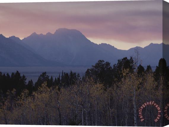 Raymond Gehman Aspens Grand Teton National Park Wyoming Stretched Canvas Painting / Canvas Art