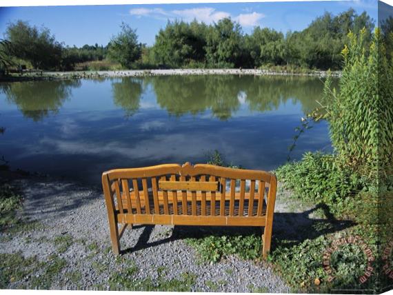 Raymond Gehman Bench at Waterside Beckons Birdwatchers at a Bird Sanctuary Stretched Canvas Painting / Canvas Art