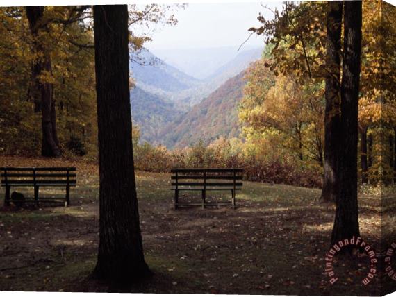 Raymond Gehman Benches Beckon Rest And Provide a Scenic View of Manns Creek Gorge Stretched Canvas Painting / Canvas Art