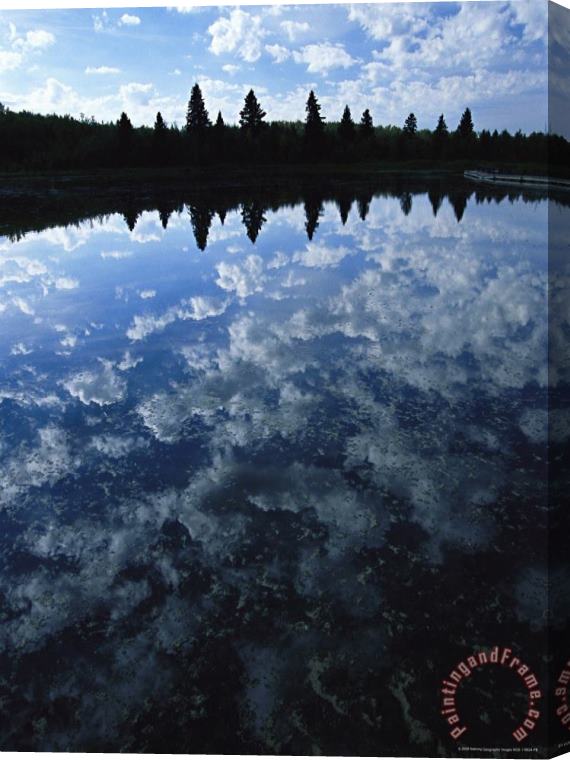Raymond Gehman Clouds And Trees Reflected on The Surface of Astotin Lake Stretched Canvas Painting / Canvas Art