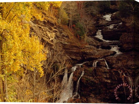 Raymond Gehman Creek Running Through Forest in Autumn Hues in Cullasaja Gorge Stretched Canvas Painting / Canvas Art