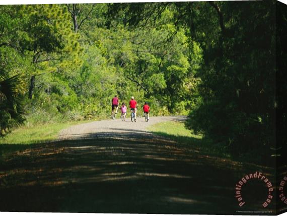 Raymond Gehman Cyclists on a Trail in The Pinckney Island National Wildlife Refuge Stretched Canvas Painting / Canvas Art