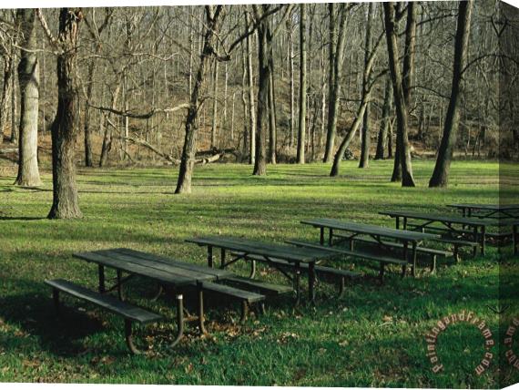 Raymond Gehman Green Picnic Tables And Benches in a Clearing Near Hardwood Trees Stretched Canvas Painting / Canvas Art