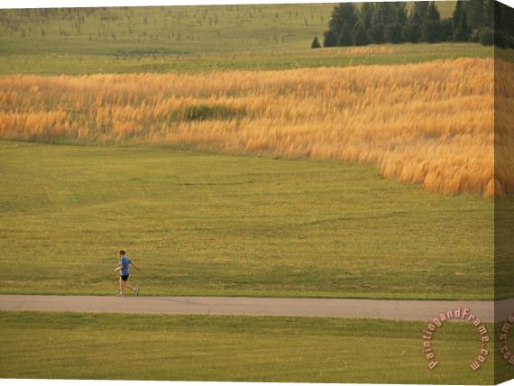 Raymond Gehman Jogger Running on a Path Through a Big Meadow Stretched Canvas Painting / Canvas Art