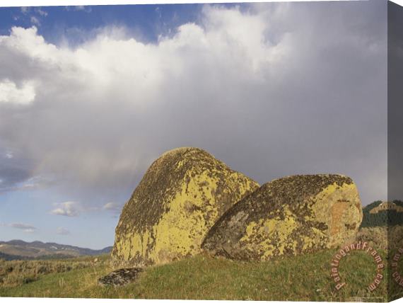 Raymond Gehman Lichen Covered Glacial Erratic Boulders Under a Cloudy Sky Stretched Canvas Print / Canvas Art
