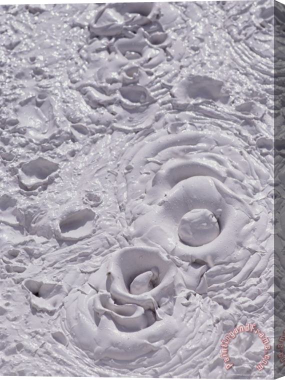 Raymond Gehman Mud Pot Detail Pocket Basin Stretched Canvas Print / Canvas Art