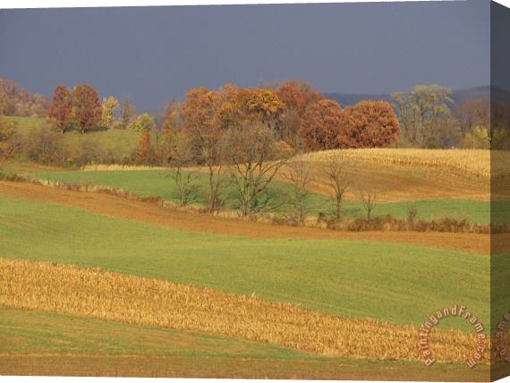 Raymond Gehman Pastoral View of Rolling Fields And Autumn Foliage Stretched Canvas Print / Canvas Art
