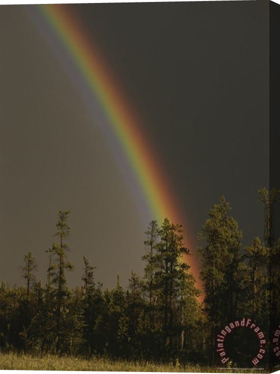 Raymond Gehman Rainbow Arches Above a Stone Mountain Forest Following a Rainstorm Stretched Canvas Print / Canvas Art