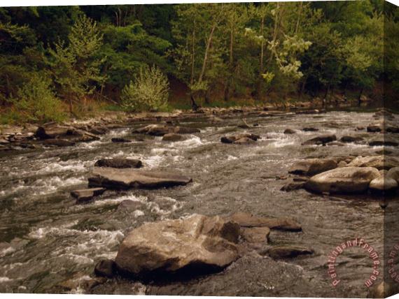 Raymond Gehman Scenic Bluestone River Rushing Through Pipestem State Park Stretched Canvas Print / Canvas Art