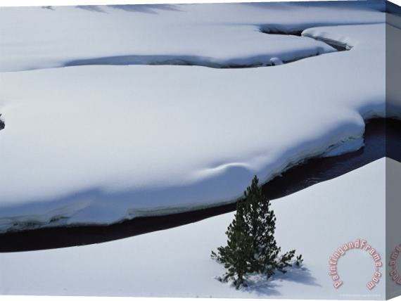 Raymond Gehman Snow Covered Water Virginia Creek Wyoming Stretched Canvas Painting / Canvas Art