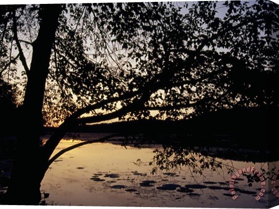 Raymond Gehman Sunset at Hematite Lake Stretched Canvas Print / Canvas Art