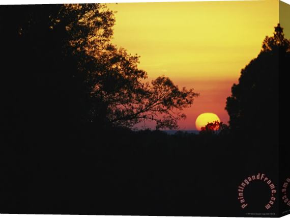 Raymond Gehman Sunset with Silhouetted Trees Stretched Canvas Print / Canvas Art