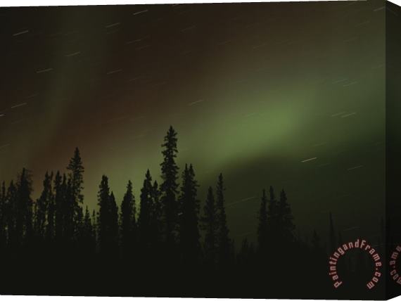 Raymond Gehman The Aurora Borealis Puts on a Light Show Above The Mackenzie River Stretched Canvas Print / Canvas Art