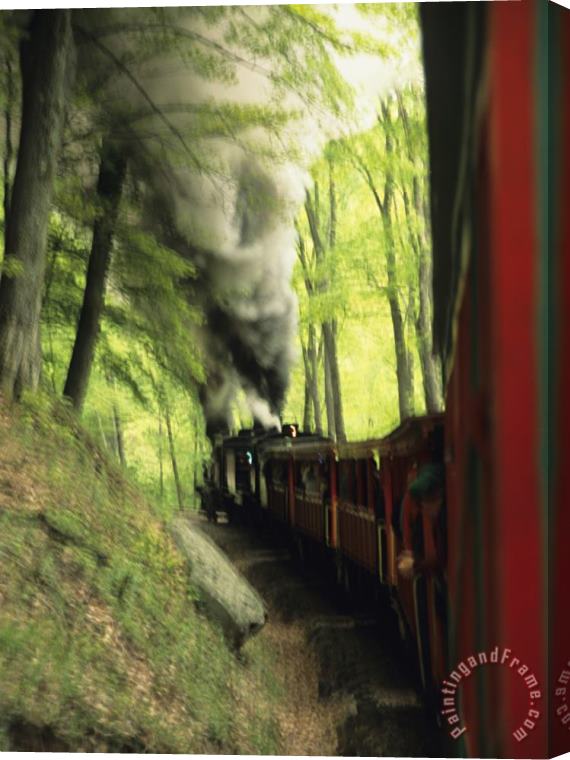 Raymond Gehman View of The Cass Scenic Railroad Train From The Caboose Stretched Canvas Painting / Canvas Art