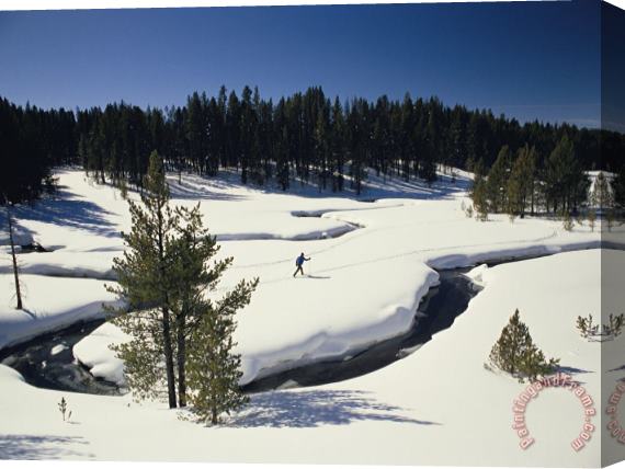 Raymond Gehman Virginia Creek with a Cross Country Skier Stretched Canvas Painting / Canvas Art