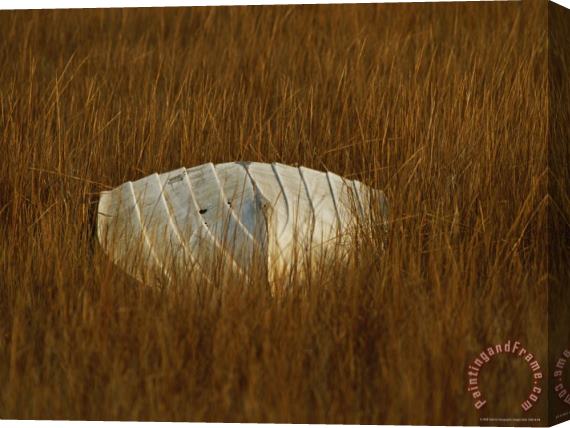 Raymond Gehman Watermans Boat Upturned in a Cordgrass Salt Marsh Stretched Canvas Painting / Canvas Art
