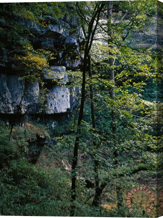 Raymond Gehman Wooded Scenery And Rock Outcrops Viewed From Inside a Sinkhole Stretched Canvas Painting / Canvas Art