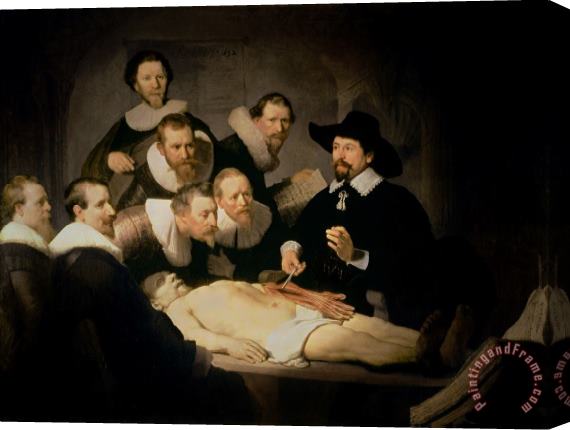 Rembrandt Harmenszoon van Rijn The Anatomy Lesson of Doctor Nicolaes Tulp Stretched Canvas Print / Canvas Art