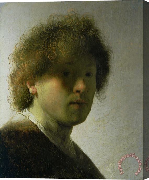 Rembrandt Self Portrait as a Young Man Stretched Canvas Print / Canvas Art