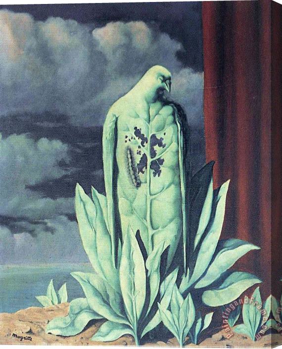 rene magritte The Taste of Sorrow 1948 Stretched Canvas Print / Canvas Art