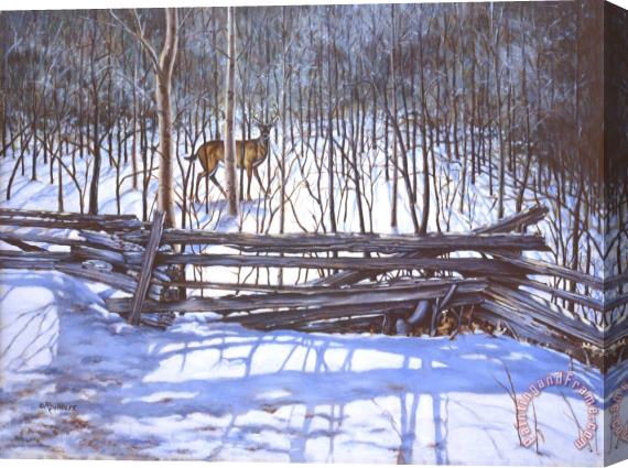 Richard De Wolfe The Watcher in the Wood Stretched Canvas Painting / Canvas Art
