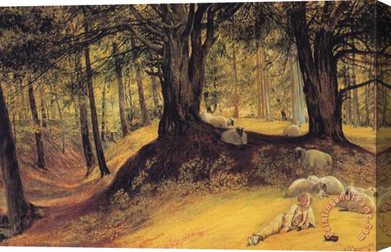 Richard Redgrave Parkhurst Woods, Abinger, Surrey Stretched Canvas Print / Canvas Art