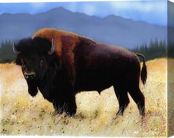 Robert Foster Big Bison Stretched Canvas Painting / Canvas Art