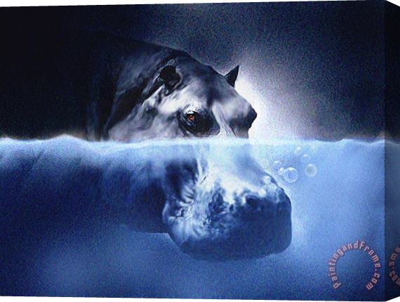 Robert Foster Hippo Stretched Canvas Painting / Canvas Art