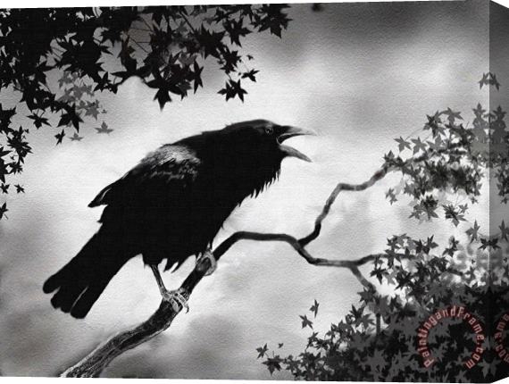 Robert Foster Raven's Song Stretched Canvas Painting / Canvas Art
