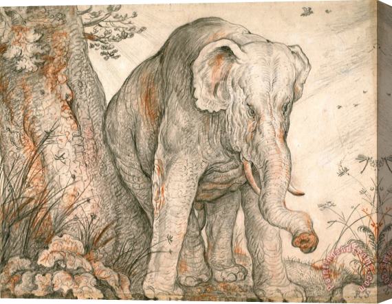 Roelant Savery An Elephant Rubbing Itself Against a Tree, C. 1608 1612 Stretched Canvas Print / Canvas Art