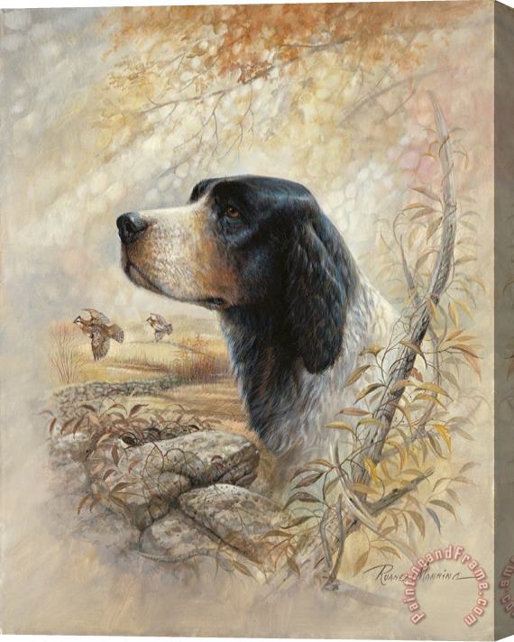 Ruane Manning English Pointer Stretched Canvas Painting / Canvas Art