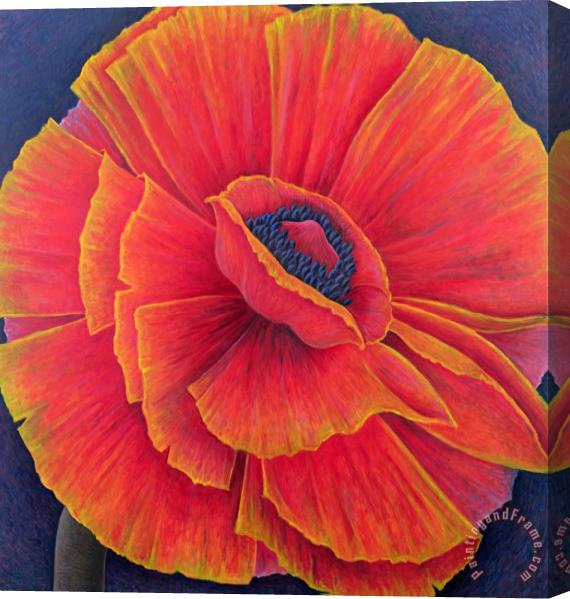 Ruth Addinall Big Poppy Stretched Canvas Painting / Canvas Art