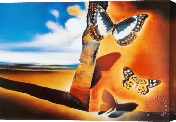 Salvador Dali Landscape with Butterflies Stretched Canvas Print / Canvas Art