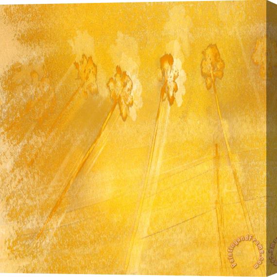 Sia Aryai California I Stretched Canvas Print / Canvas Art