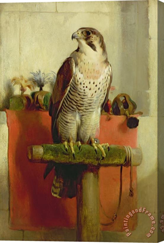 Sir Edwin Landseer Falcon Stretched Canvas Print / Canvas Art