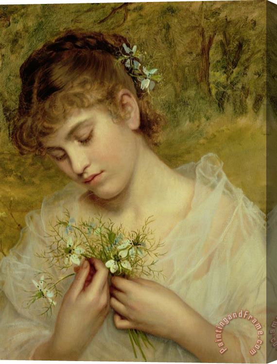 Sophie Anderson Love in a Mist Stretched Canvas Painting / Canvas Art