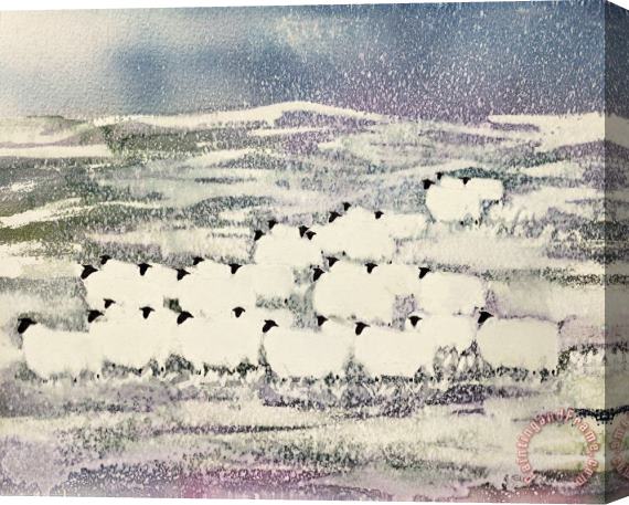 Suzi Kennett Sheep in Winter Stretched Canvas Print / Canvas Art
