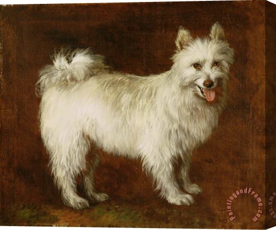 Thomas Gainsborough Spitz Dog Stretched Canvas Painting / Canvas Art