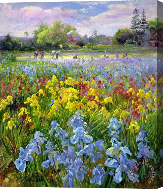 Timothy Easton Hoeing Team and Iris Fields Stretched Canvas Painting / Canvas Art