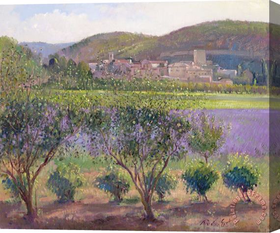 Timothy Easton Lavender Seen Through Quince Trees Stretched Canvas Print / Canvas Art