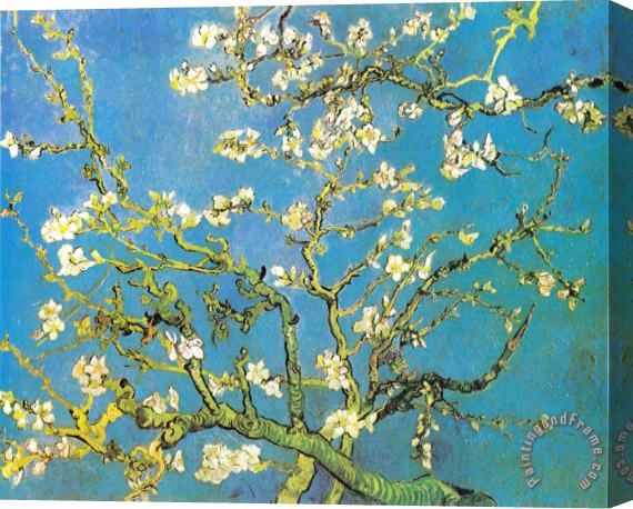 Vincent van Gogh Blossoming Almond-branches Stretched Canvas Painting / Canvas Art
