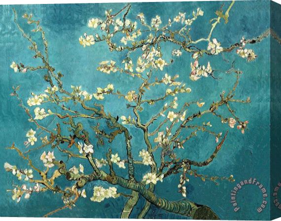 Vincent van Gogh Blossoming Almond Tree Stretched Canvas Painting / Canvas Art