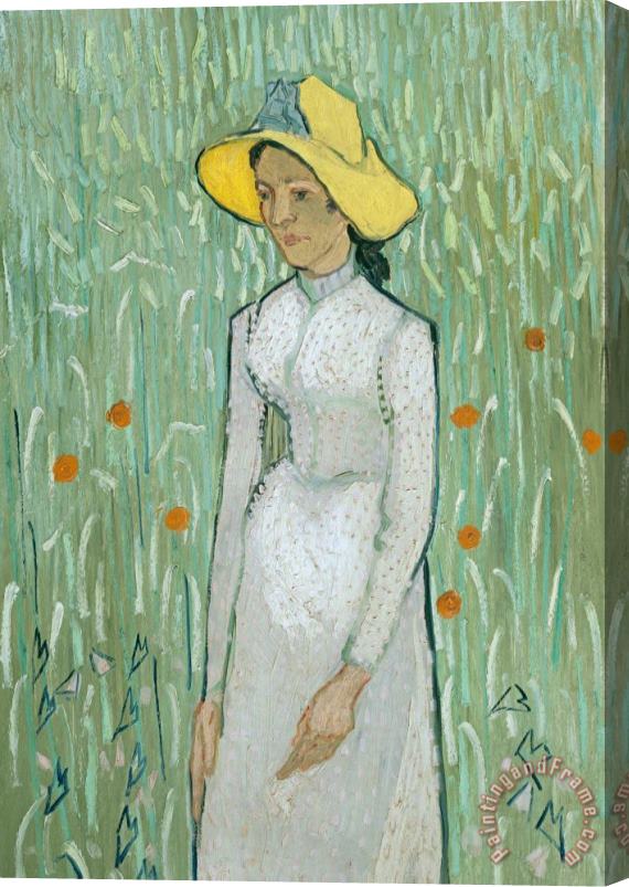 Vincent van Gogh Girl In White Stretched Canvas Print / Canvas Art