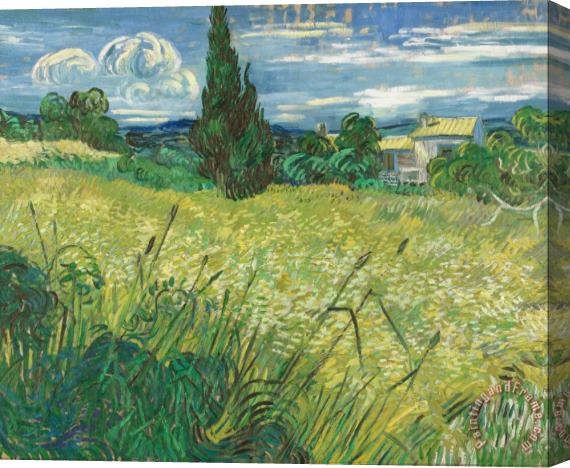 Vincent van Gogh Green Field Stretched Canvas Print / Canvas Art