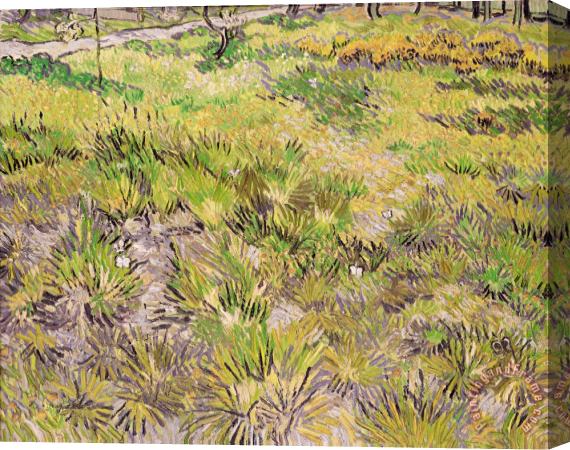 Vincent van Gogh Meadow With Butterflies Stretched Canvas Print / Canvas Art