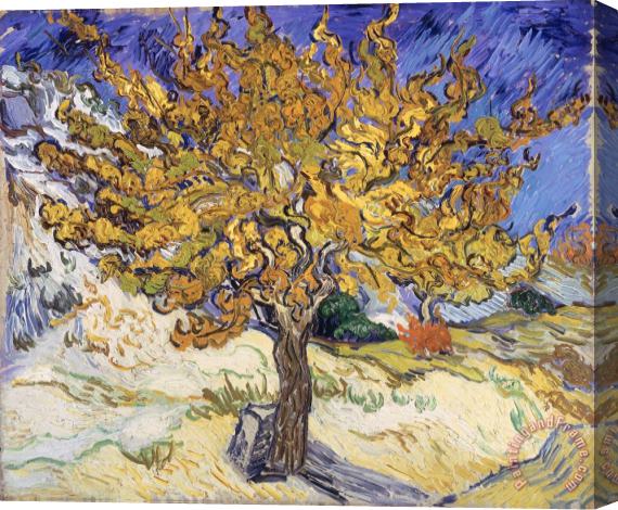 Vincent Van Gogh Mulberry Tree Stretched Canvas Painting / Canvas Art